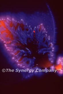 Kirlian Image